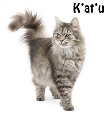 K’at’u