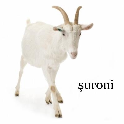 şuroni
