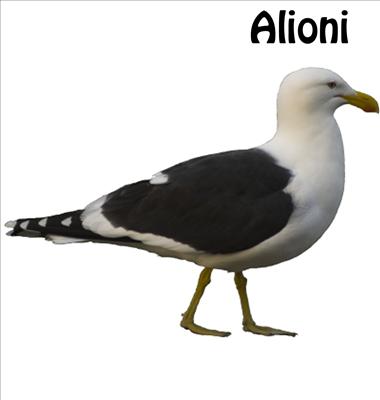 alioni