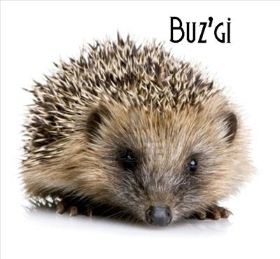 buz'gi