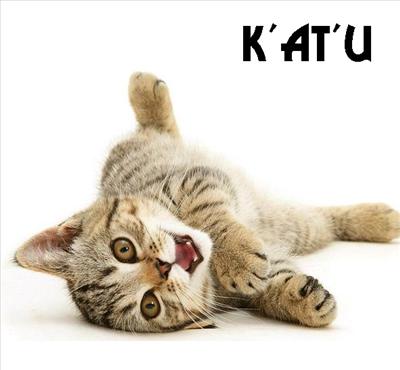 k'at'u