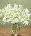 beautifull flowers