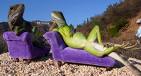 Lizard