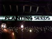 Venue Lights