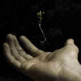 Floating Seedling