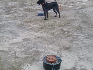 Draht and Brat