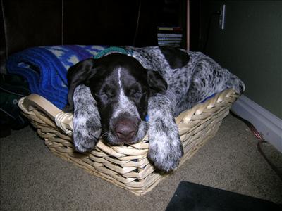 Nap time Draht