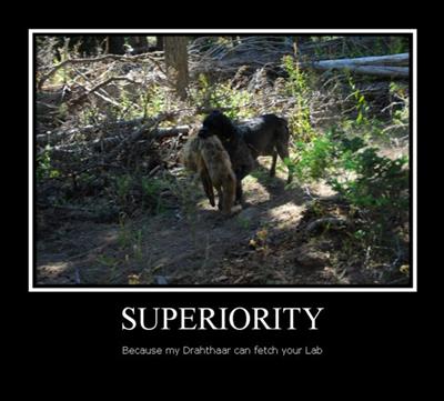 Superiority Draht