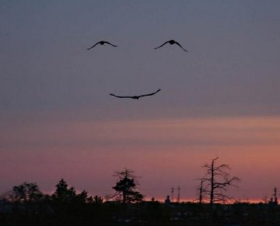 Dal Cielo