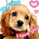 love you