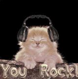 rock cat
