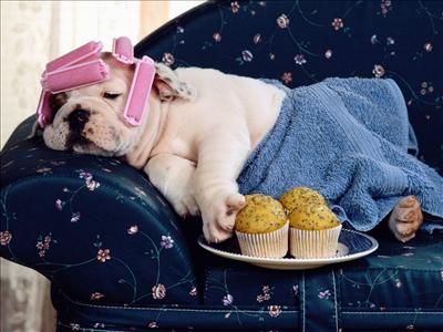 i am relax