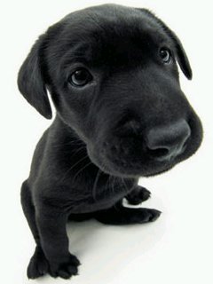 sweet