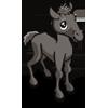 Gray colt