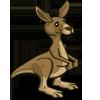 Kangaroo