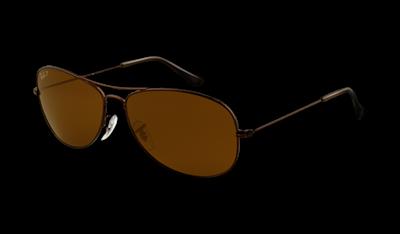 RB3362 Polarized Lenses Cockpit
