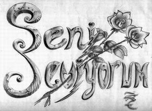 Seni Seviyorum