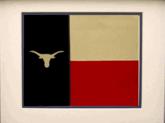Longhorn fan