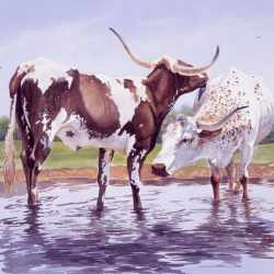 Texas Royalty