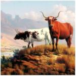Red Steer