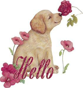 hi!