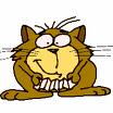 Happi Cat =)