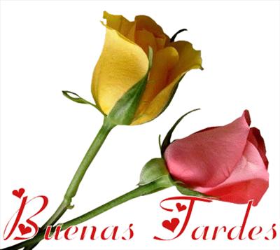 buenas tardes