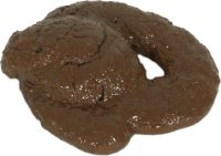 Cat Crap