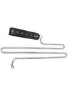 Chain Leash