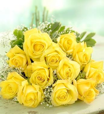 Roses
