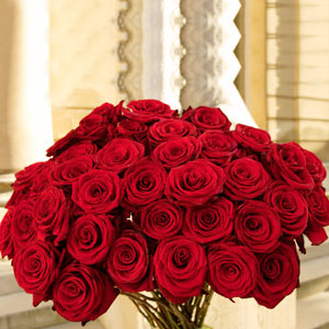 Roses