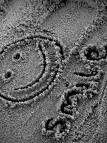 smilee
