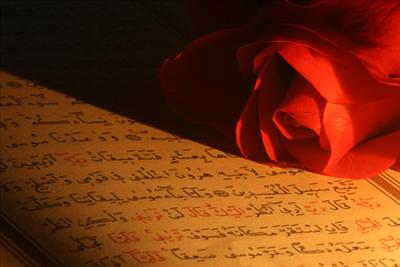 Quraan+flower