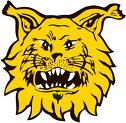 ilves...