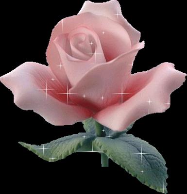 flower 10