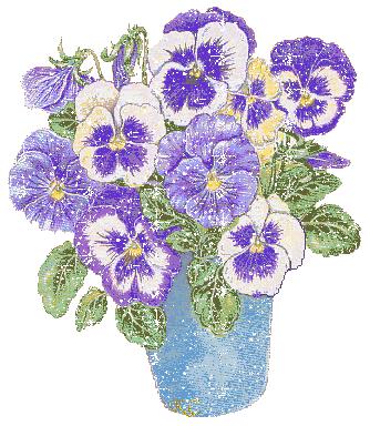 flowers 5
