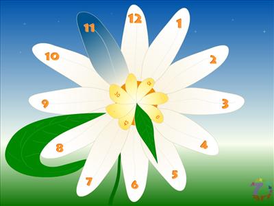 flower 12