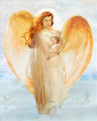 angels 7