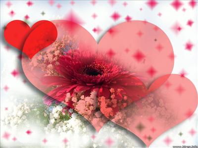heart 12