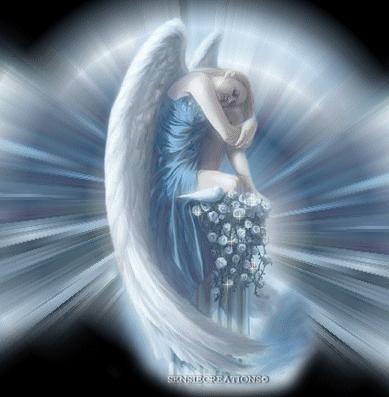 angel 12