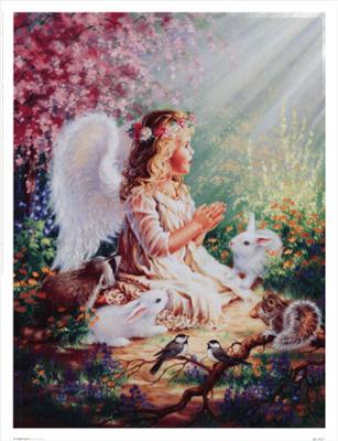 angel 13