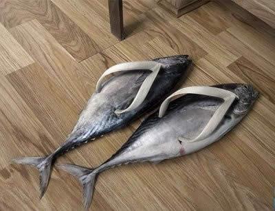 Slipar Cap Ikan