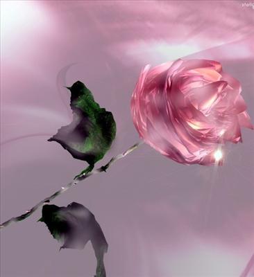 Rose_pink_glitter