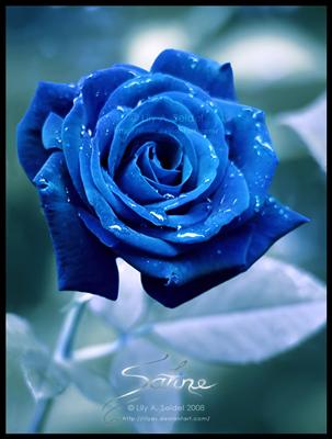 mabusufian@yahoo.com_01