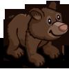 Bear Cub