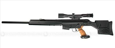 PSG-1