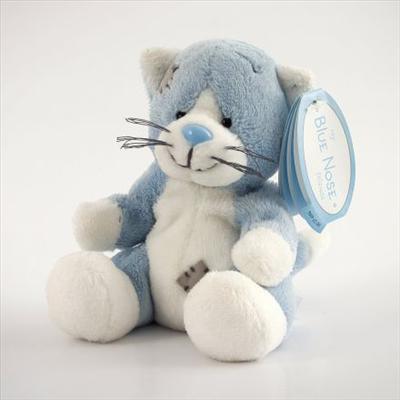 KittyWink- The Cat