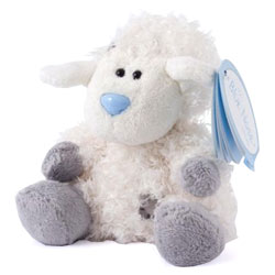 Cottonsocks- The sheep