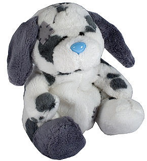 Sploge- The dalmation