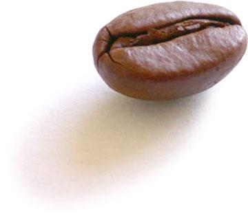 Coffee Bean